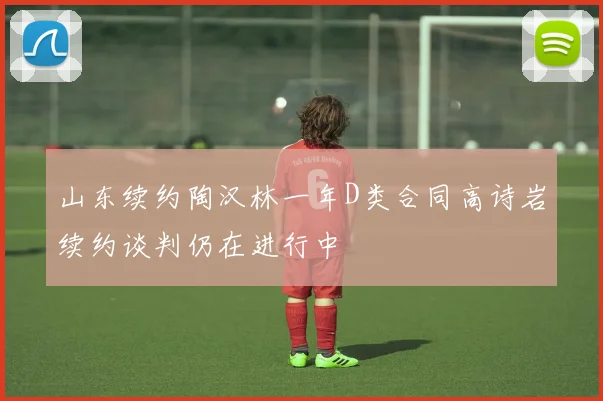 山东续约陶汉林一年D类合同高诗岩续约谈判仍在进行中